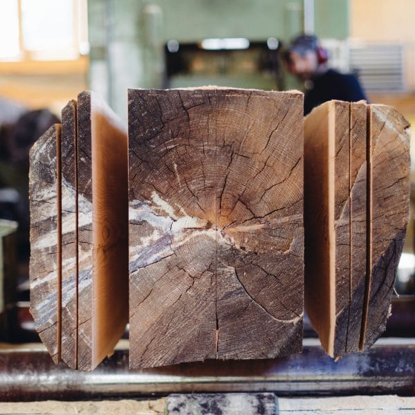 Artikel im Fachmagazin Bündner Wald: Überschaubar, flexibel und nachhaltig